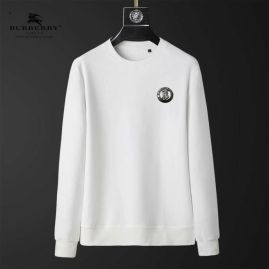 Picture of Burberry Sweatshirts _SKUBurberryM-4XL25cn3524866